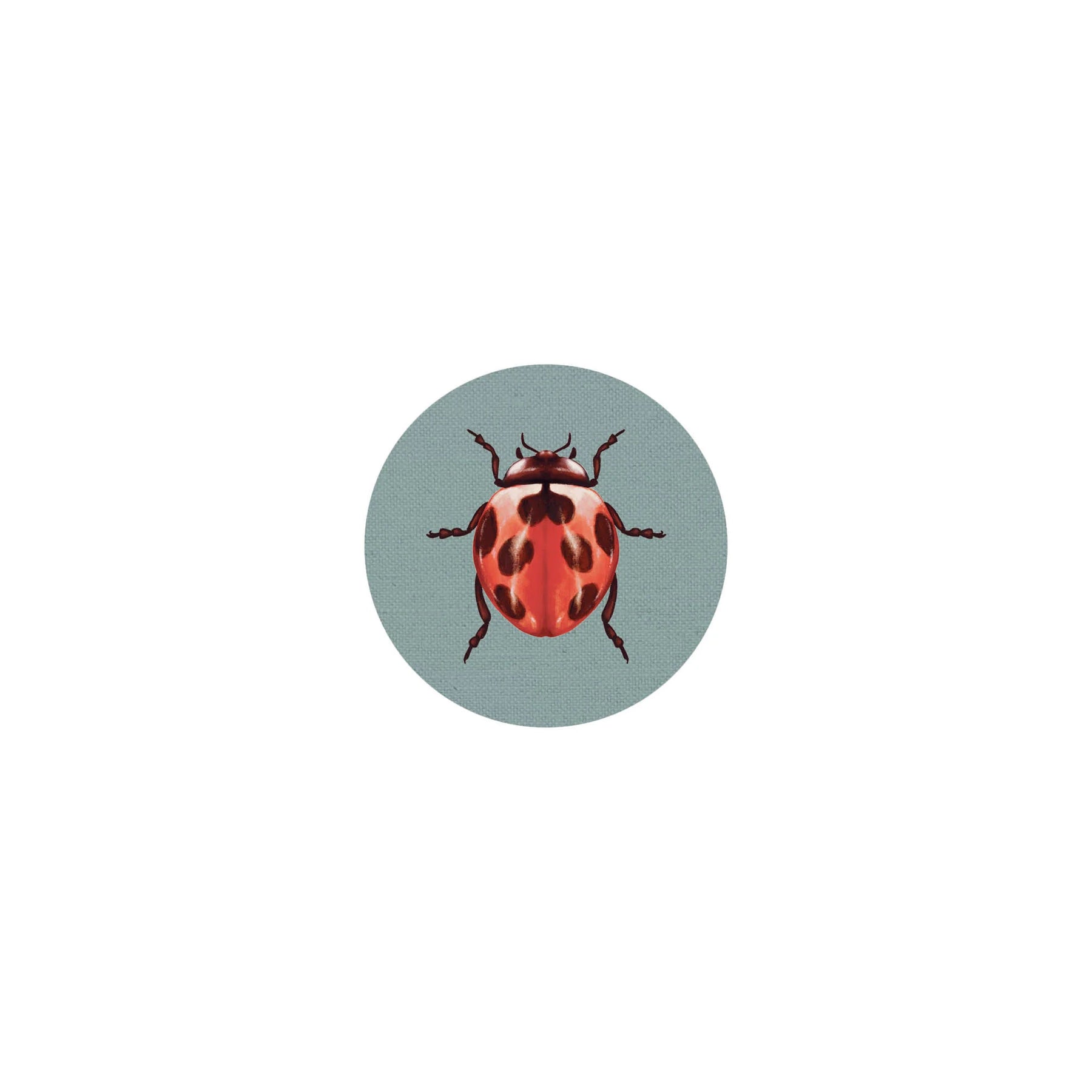 Insect Coaster II