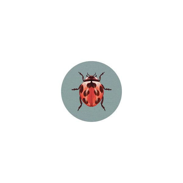 Insect Coaster II