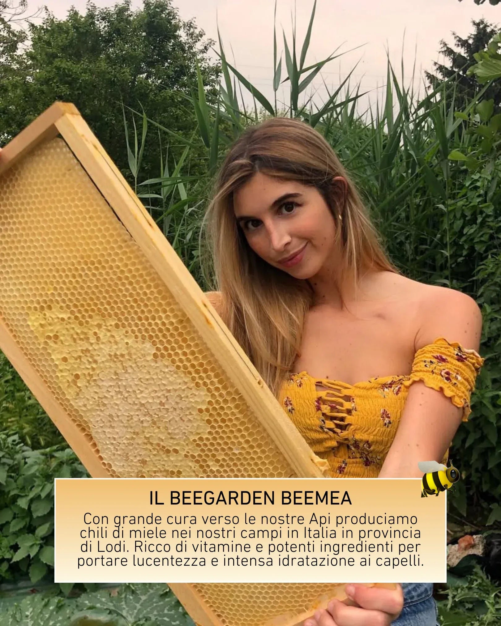 HONEY SHAMPOO