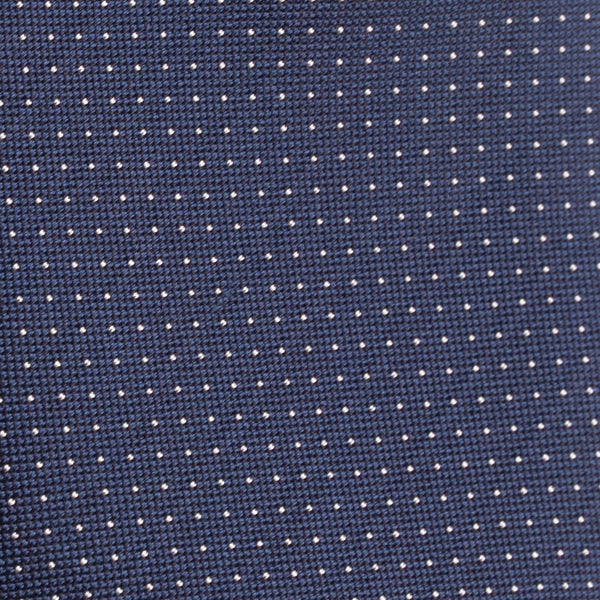 Elegant blue polka dot tie