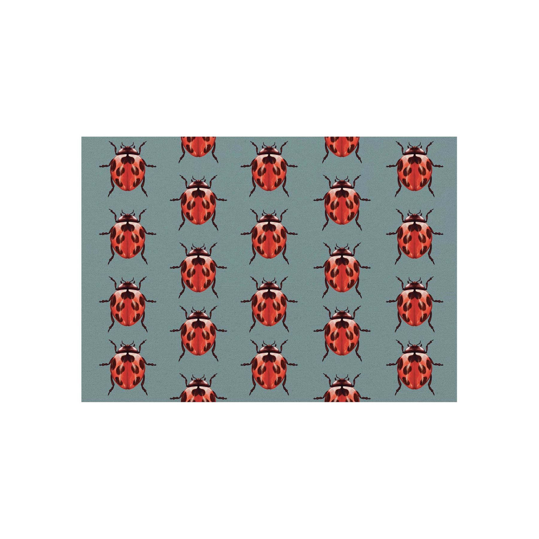Insects Paper Placemats II