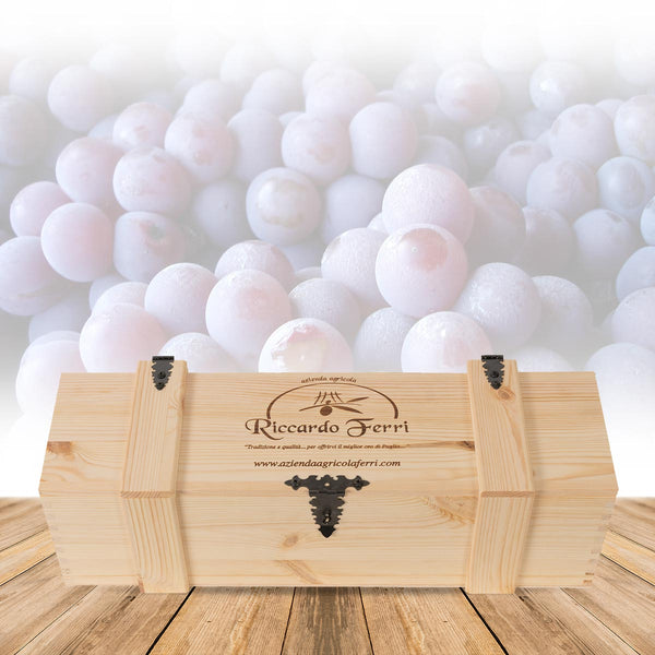 Magnum 3 Liters "Nero di Troia" PGI in pine wood case