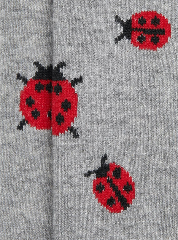 Calza fantasia coccinella