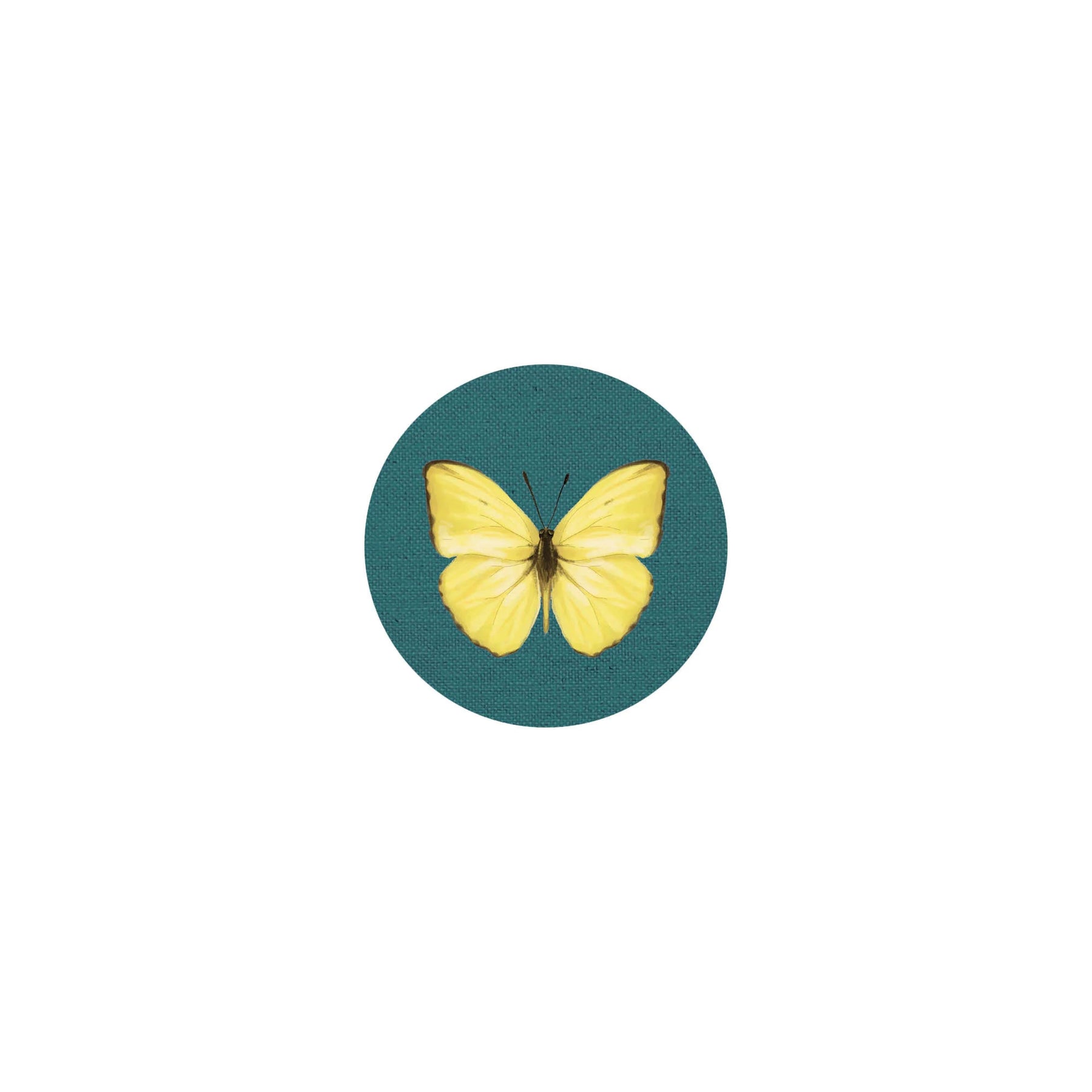 Insect Coaster II