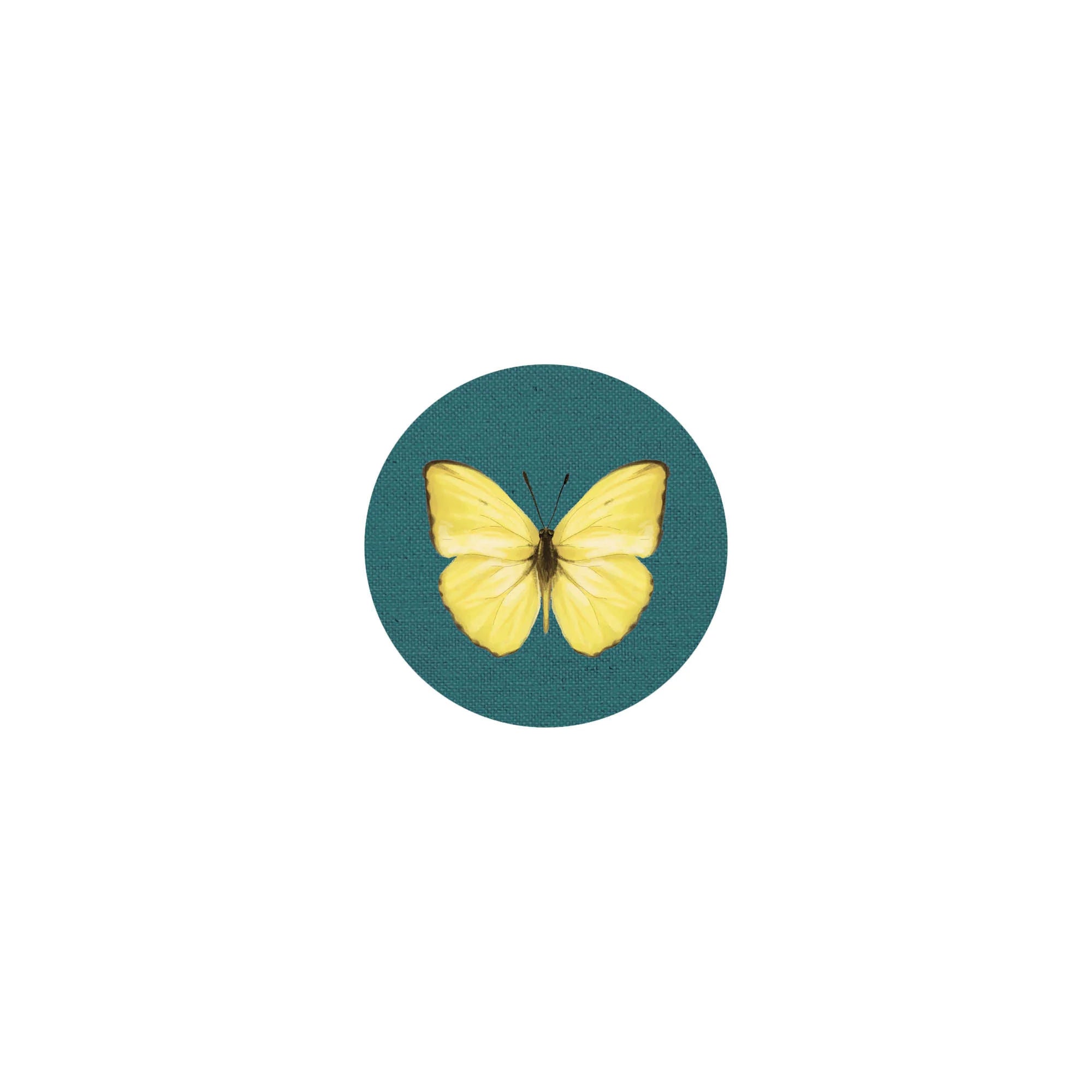 Insect Coaster II