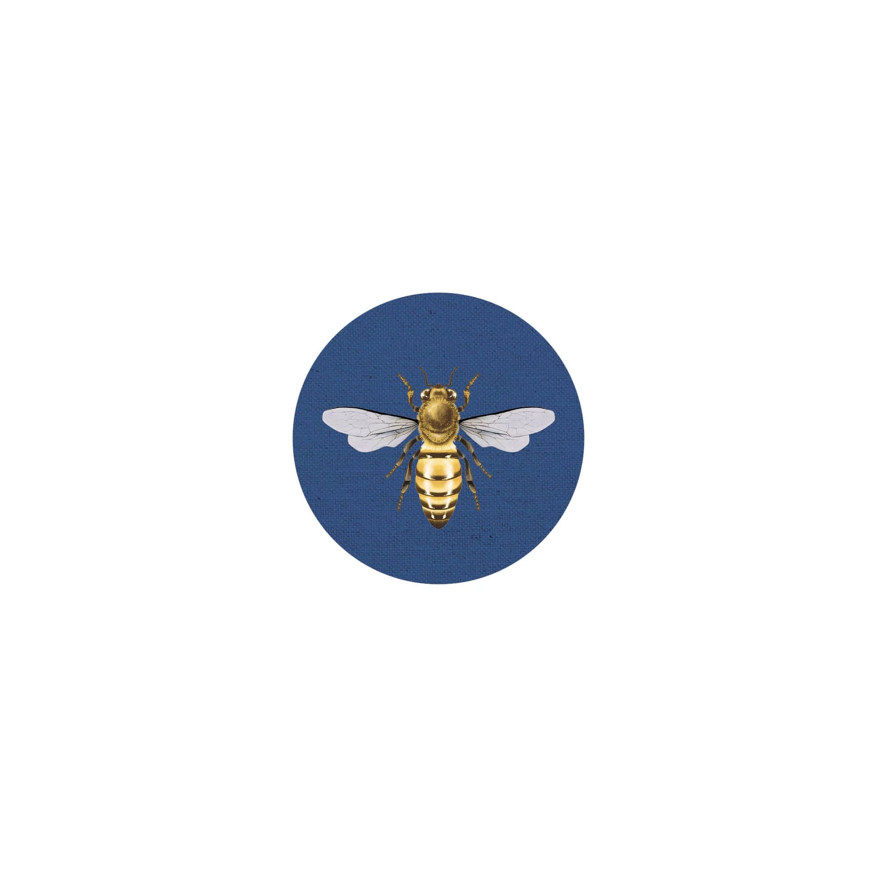 Insect Coaster II