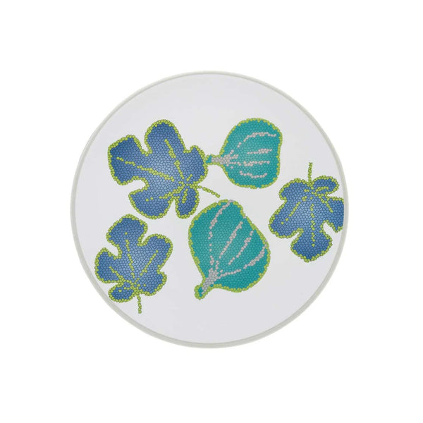 Ficus Flat Plate - pack of 2