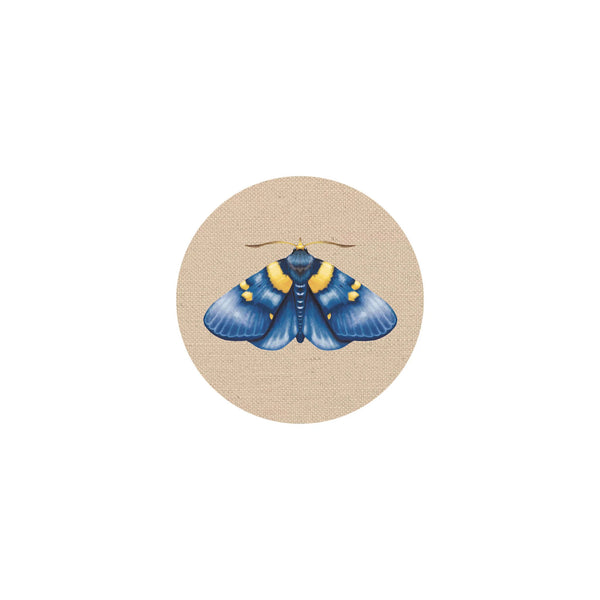 Insects II Coaster 