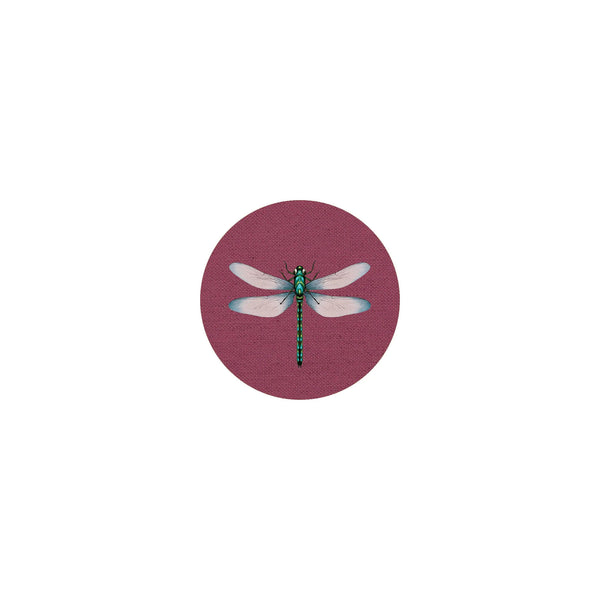 Insect Coaster II