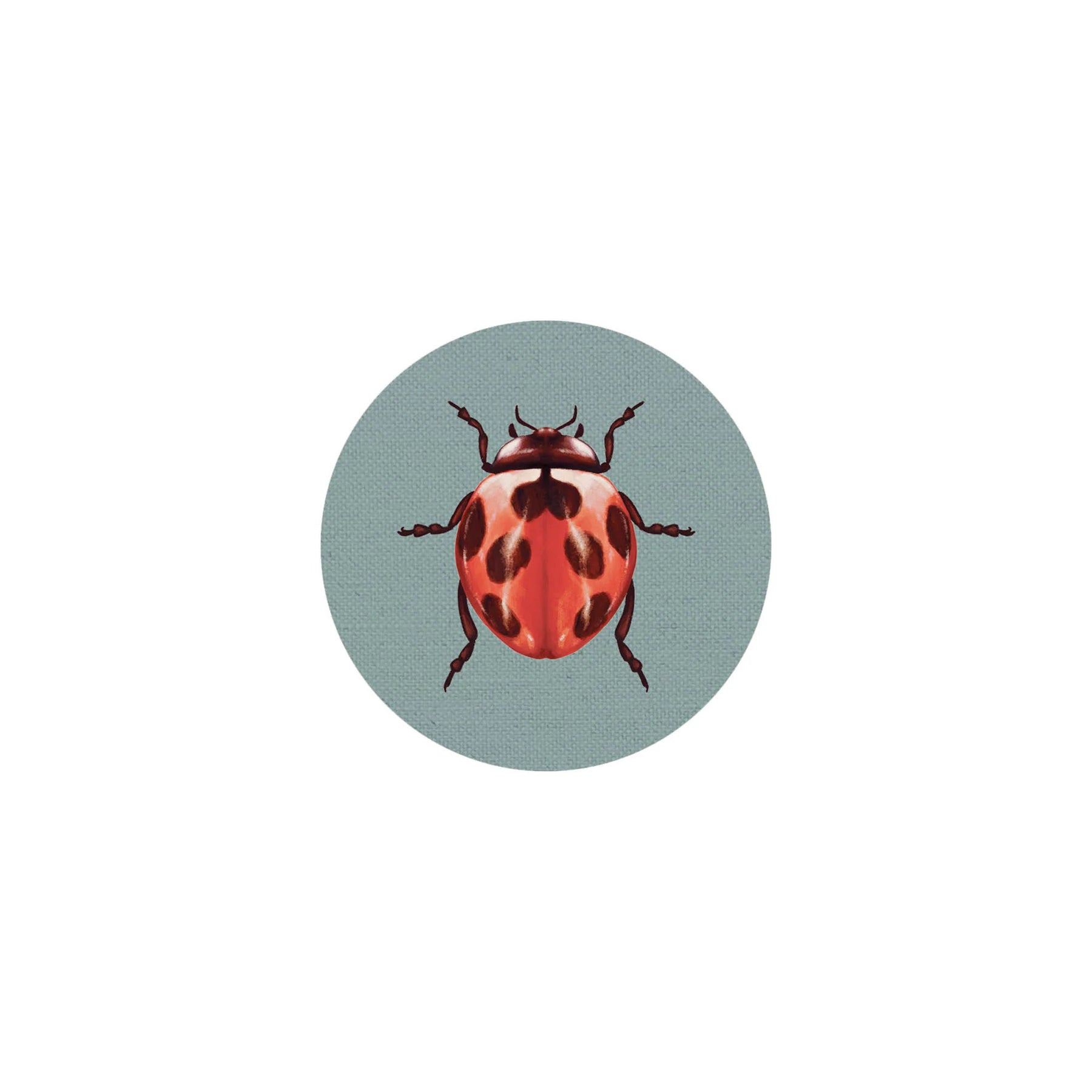 Insects II Coaster 