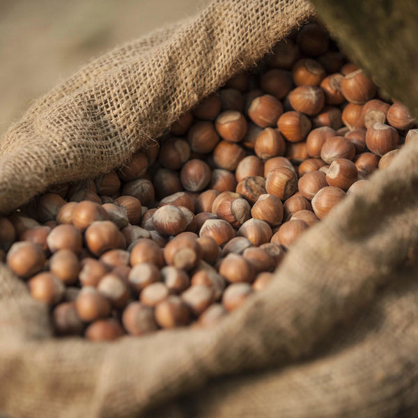 Nocciola Piemonte IGP "Langhe" in Guscio Naturali (2Kg)